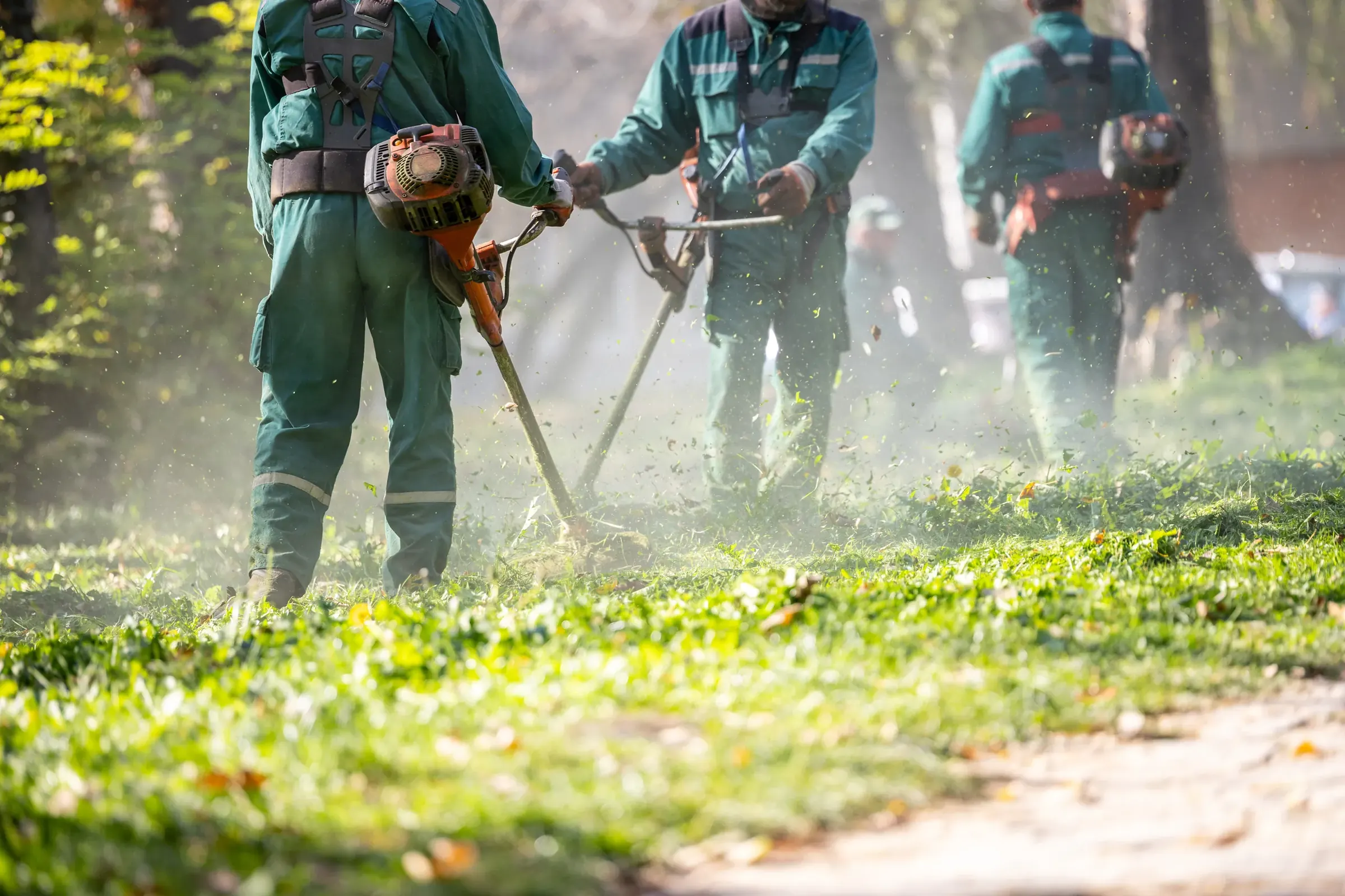 Gärtner mähen mit Freischneidern eine Rasenfläche